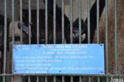 Saigon Zoo & Botanical Gardens