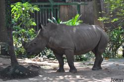 Saigon Zoo & Botanical Gardens