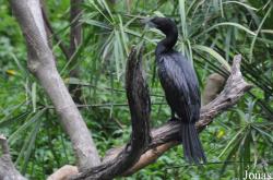 Saigon Zoo & Botanical Gardens