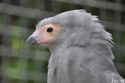 Banham Zoo