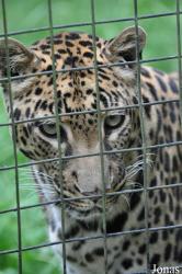 Linton Zoological Gardens
