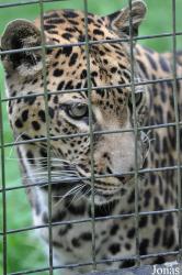 Linton Zoological Gardens