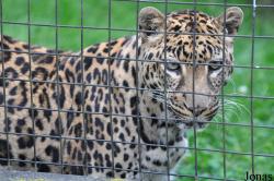 Linton Zoological Gardens