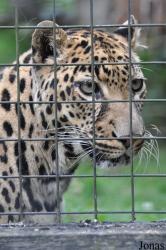 Linton Zoological Gardens