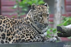 Linton Zoological Gardens