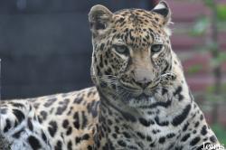 Linton Zoological Gardens