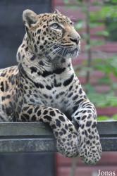 Linton Zoological Gardens