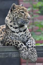 Linton Zoological Gardens