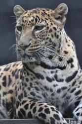 Linton Zoological Gardens