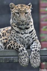 Linton Zoological Gardens
