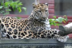 Linton Zoological Gardens