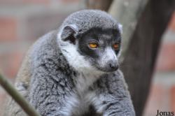 Linton Zoological Gardens