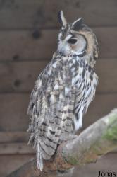 Hamerton Zoo Park
