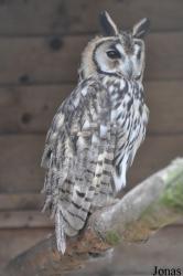 Hamerton Zoo Park