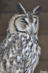 Hamerton Zoo Park
