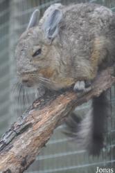 Hamerton Zoo Park
