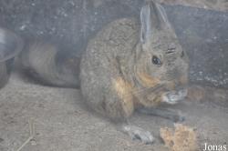 Hamerton Zoo Park