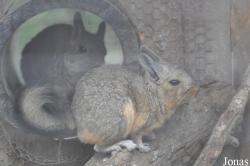Hamerton Zoo Park