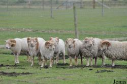 Hamerton Zoo Park