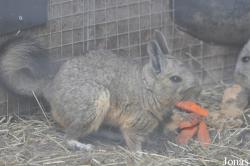 Hamerton Zoo Park