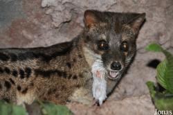 Rare Species Conservation Centre