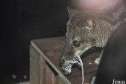 Rare Species Conservation Centre