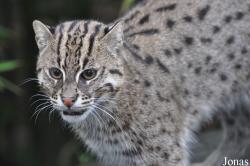 Rare Species Conservation Centre