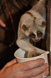 Rare Species Conservation Centre