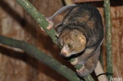 Rare Species Conservation Centre