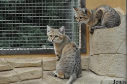 Rare Species Conservation Centre