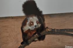 Rare Species Conservation Centre