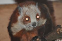 Rare Species Conservation Centre
