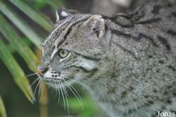 Rare Species Conservation Centre