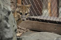 Rare Species Conservation Centre