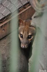 Rare Species Conservation Centre