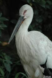 Shanghai Zoo