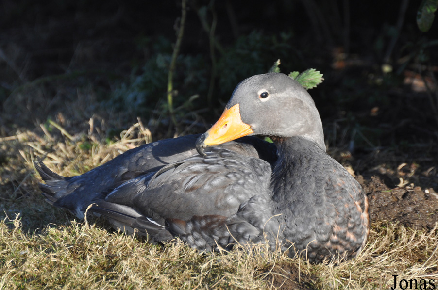 Blackbrook Zoological Park