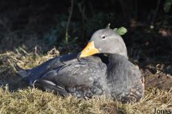 Blackbrook Zoological Park