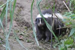 Vogelpark Marlow
