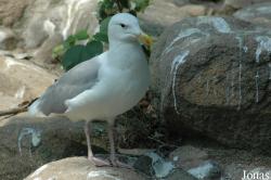 Shanghai Zoo