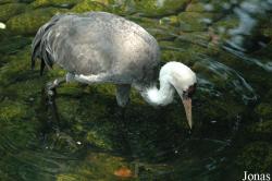Shanghai Zoo