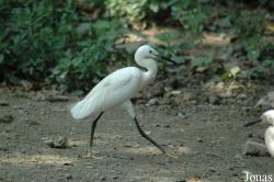 Shanghai Zoo