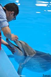 Ocean Park Hong Kong