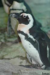 Shanghai Zoo