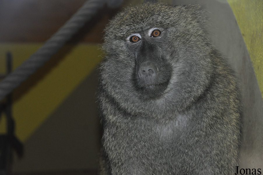 Tierpark Bad Kösen