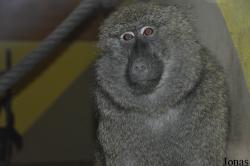 Tierpark Bad Kösen