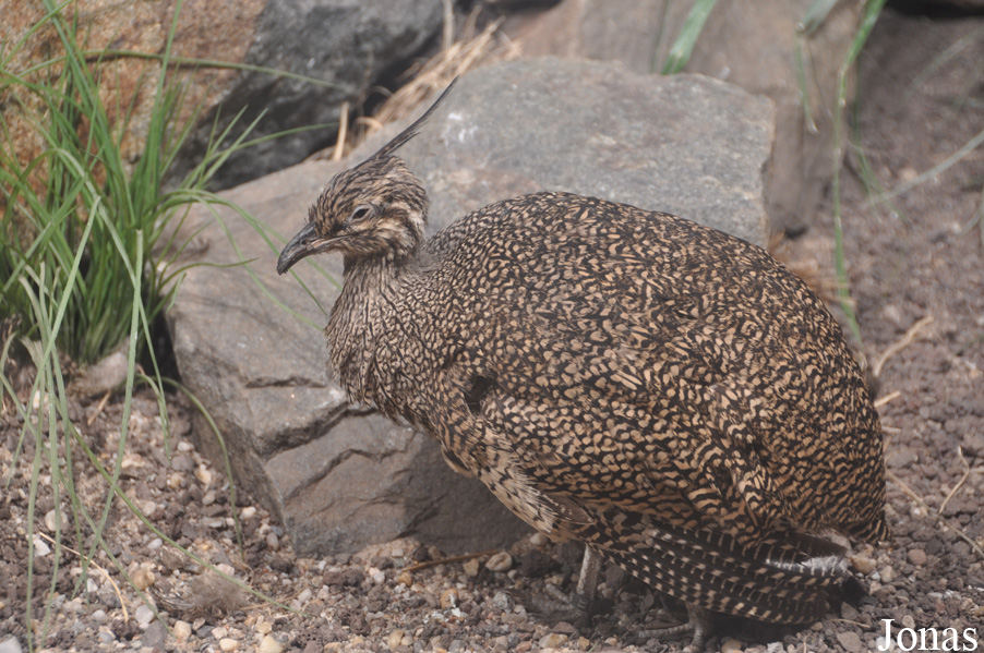 Zoo Leipzig