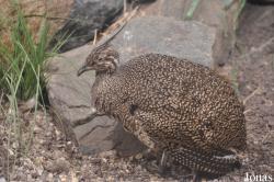 Zoo Leipzig