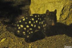 Zoo Leipzig