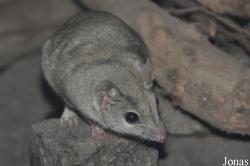 Zoo Leipzig